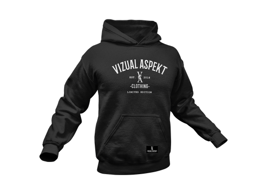 logo 2 Vizual Aspect Hoodies